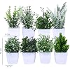 Product Photo 2