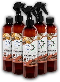 Natural Pumpkin Spice Bathroom Cleaner (Pack of 6, 8 fl. oz each, 48 fl. oz total) – Fast Acting, All Purpose Spray for Toilet, Shower, Tile, & Sink – Descaler, Limescale, Grime, & Soap Scum Remover