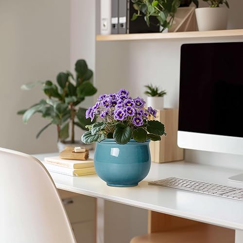 Miniatura 3 de Macetas de violeta africana de 6 pulgadas, maceta de cerámica con riego automático con maceta interior absorbente, macetas africanas para plantas de