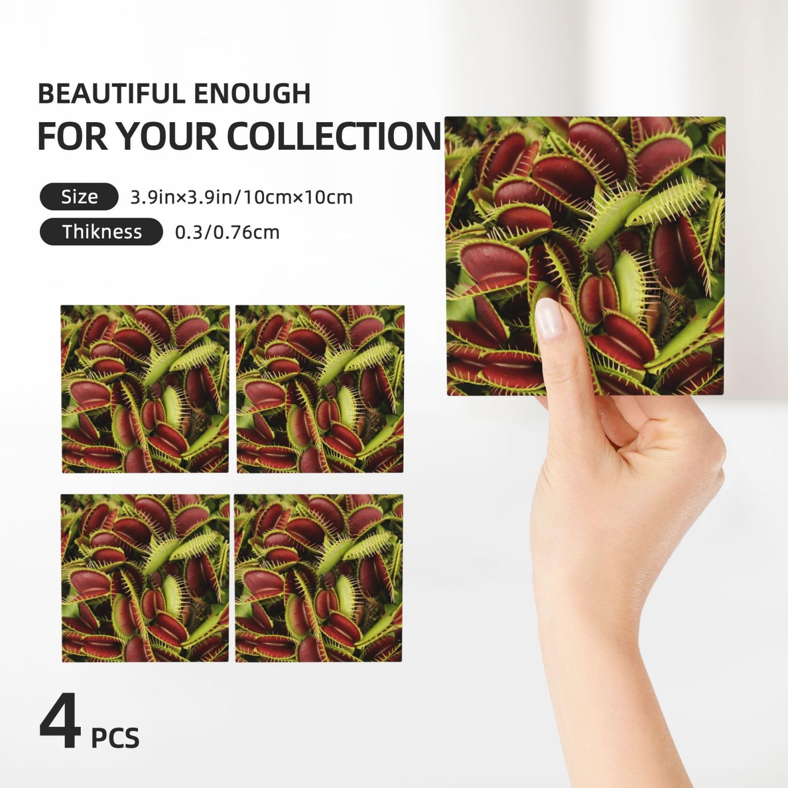Set di 4 sottobicchieri in ceramica con stampa di piante carnivore