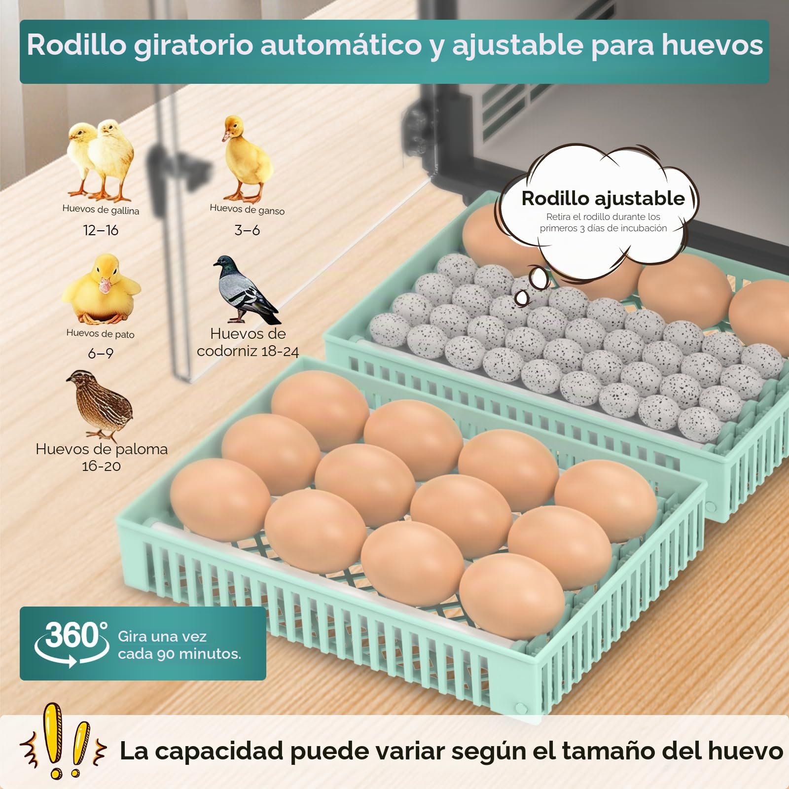 Máquina incubadora completamente automática, 24 huevos con paleta automática y control de temperatura, doble fuente de alimentación, incubadora para pollos, codornices, patos (A)