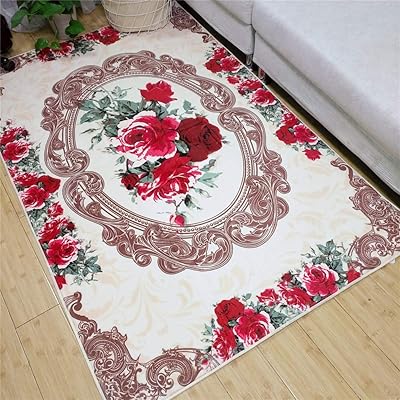 Amazon Rosefluffyの敷物 居間 寝室のためのローズの水晶ビロードのシャギーの汚れ抵抗力がある極度の柔らかい滑り止めのカーペット 1x180cm ラグ カーペット オンライン通販