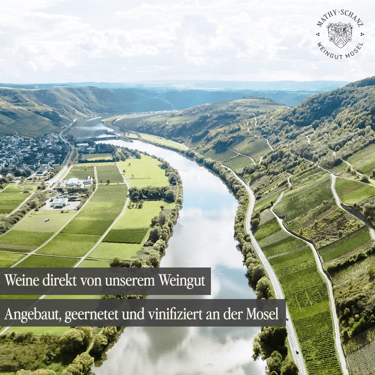 Weingut Mathy-Schanz | Weißwein Lieblich - Weinprobierpaket (6 x 0,75l) | Moselwein direkt vom Winzer