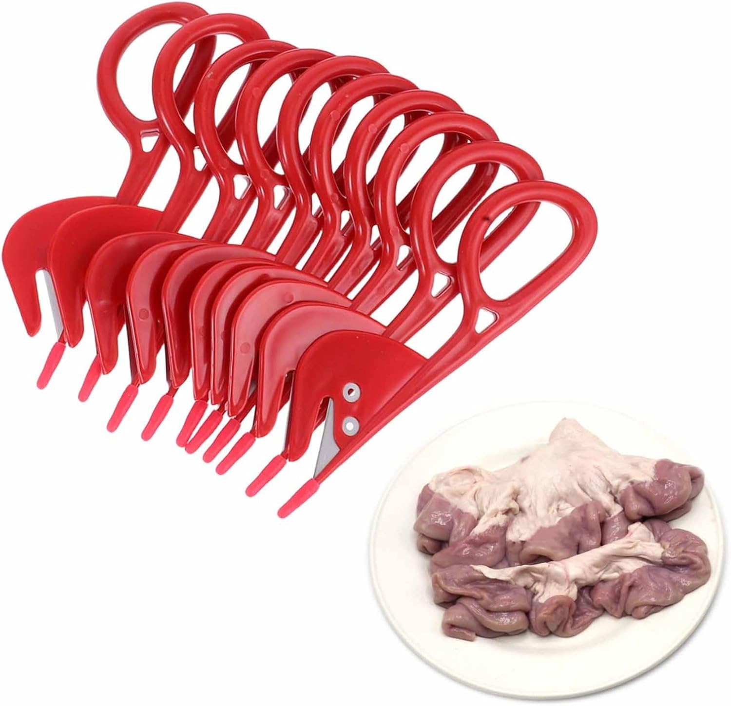 Poultry Intestine Opener 20 Pieces ABS Stainless Steel Kitchen Tool