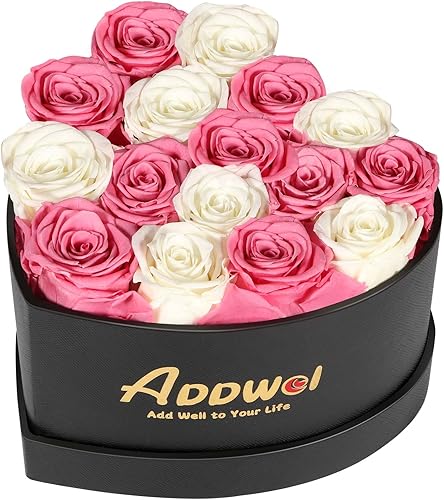 Miniatura 17 de ADDWel 24 Ramo de Rosas Rojas Reales Preservadas Flores de Larga Duración para Ella y Regalos Románticos para Esposa Novia, Dos Docenas de Rosas