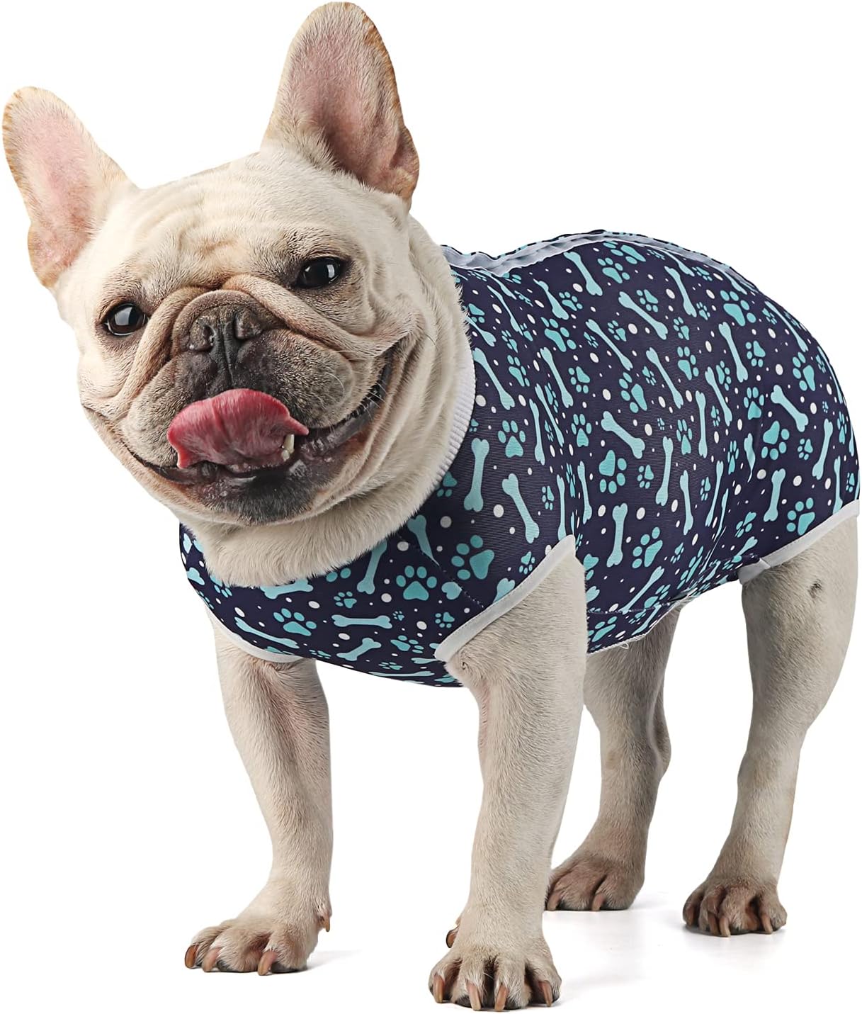 Etdane Dog Surgical Recovery Suit Pet Onesies Cat Bodysuit Post
