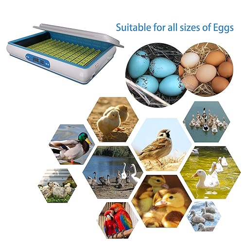 Miniatura 5 de Incubadora de huevos, incubadora de huevos de 120 huevos totalmente automática con iluminación LED y control inteligente de temperatura, para