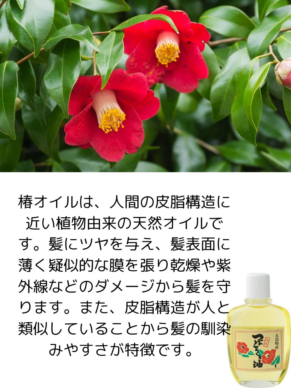 Amazon.co.jp: 五島 特産 椿油 純粋 ヘアオイル つばき油 100ml 2個