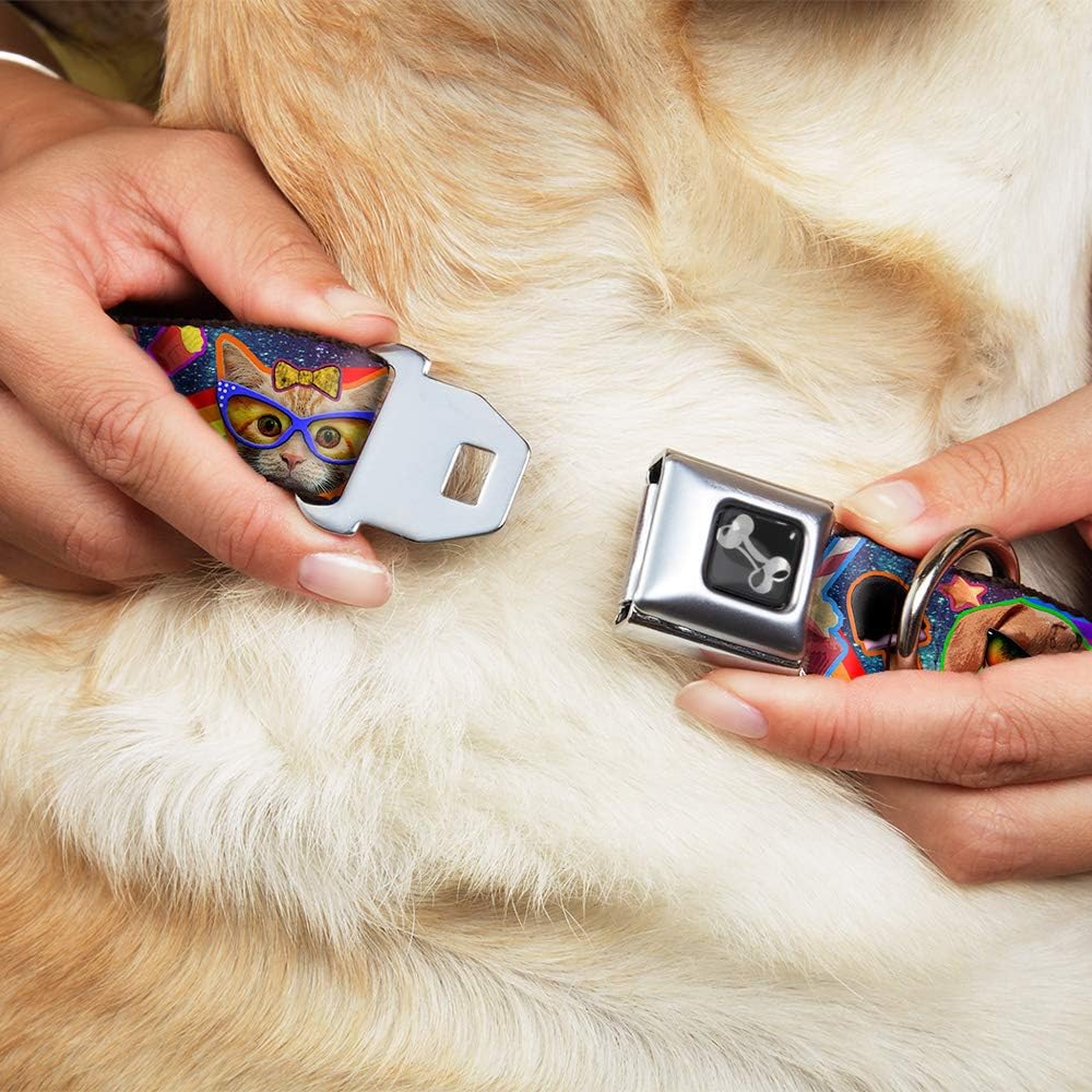 Buckle-Down Seatbelt Buckle Dog Collar - Pets & Snacks Rainbow Collage - 1.5" Wide - Fits 16-23" Neck - Medium