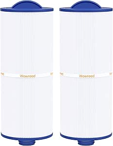 Chryseos Filtro Per Spa E Idromassaggio - Confezione Da 2 - Compatibile Con PJW60TL-F2S, 6CH-960, J-300 E Molti Altri - 39x16cm - 2