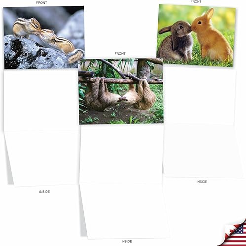 Miniatura 4 de The Best Card Company - 10 adorables tarjetas de notas en blanco (4 x 5.12 pulgadas) - Tarjetas de vida silvestre y animales, juego surtido para