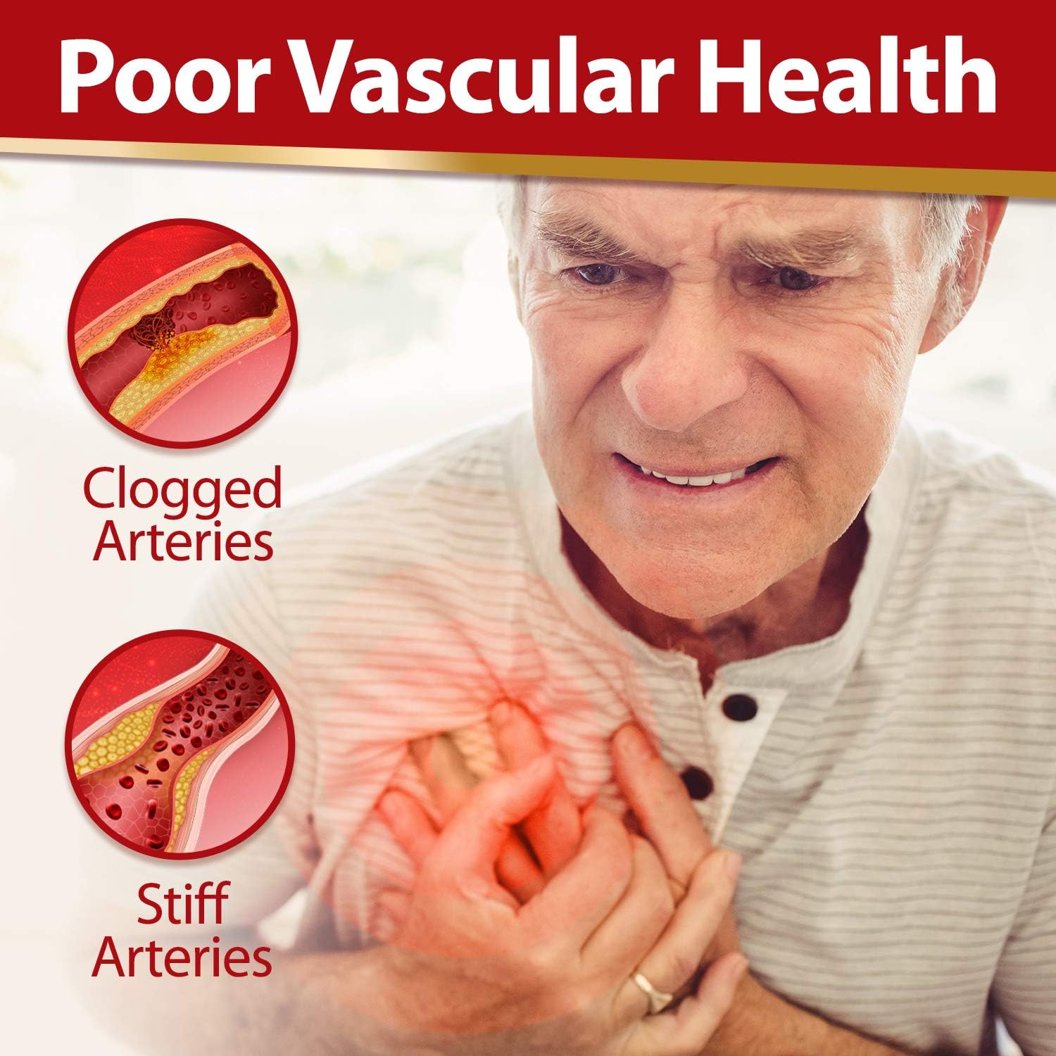 LABO Nutrition VesseCLEAR EX + NeuroREGAIN: Nattokinase NSK-SD, Elastin F for Clean & Flexible Blood Vessel, Cardiovascular & Circulation Support, Scallop-derived PLASMALOGEN for Brain Deterioration