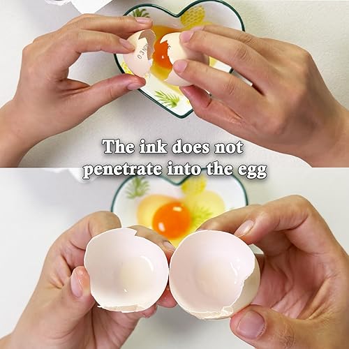 Miniatura 6 de Kit de datador de huevos, 2 sellos de goma, 2 tintas resistentes a la decoloración, 50 instrucciones para pollo, pato, pavo, huevos de ganso