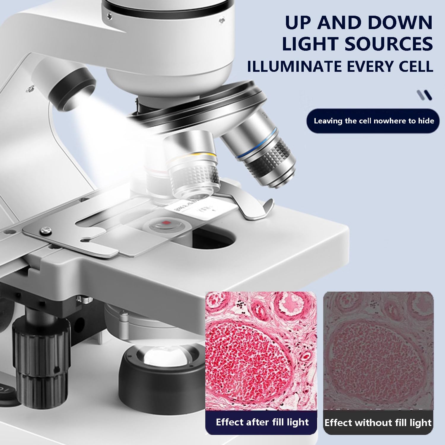 Microscopio Stereo, Microscopio Professionale, con Oculare Elettronico da 200 W, Risoluzione 1920 * 1080, Ingrandimento 40x-2000x, Adatto per Test Sperimentali