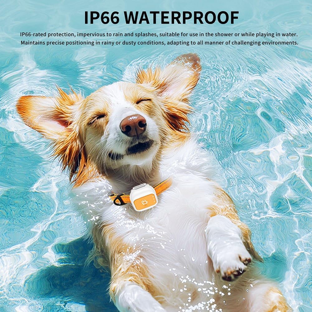 GPS Pet Tracker G01 per più Animali, Piccolo e Impermeabile, Lunga Durata della Batteria, Dispositivo Anti-Smarrimento - Versione S