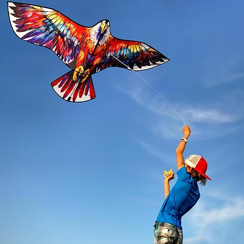 Miniatura 4 de HENGDA KITE Cometa de águila, para niños y adultos, fácil de volar, excelente diseño de tela y estructura, las imágenes son hermosas en alta