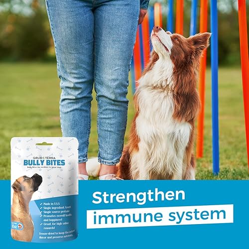 Miniatura 4 de GrubTerra Natural Beef Dog - Golosinas dentales para perros, hechas en Estados Unidos, bocadillos saludables para perros, sin granos, con alto