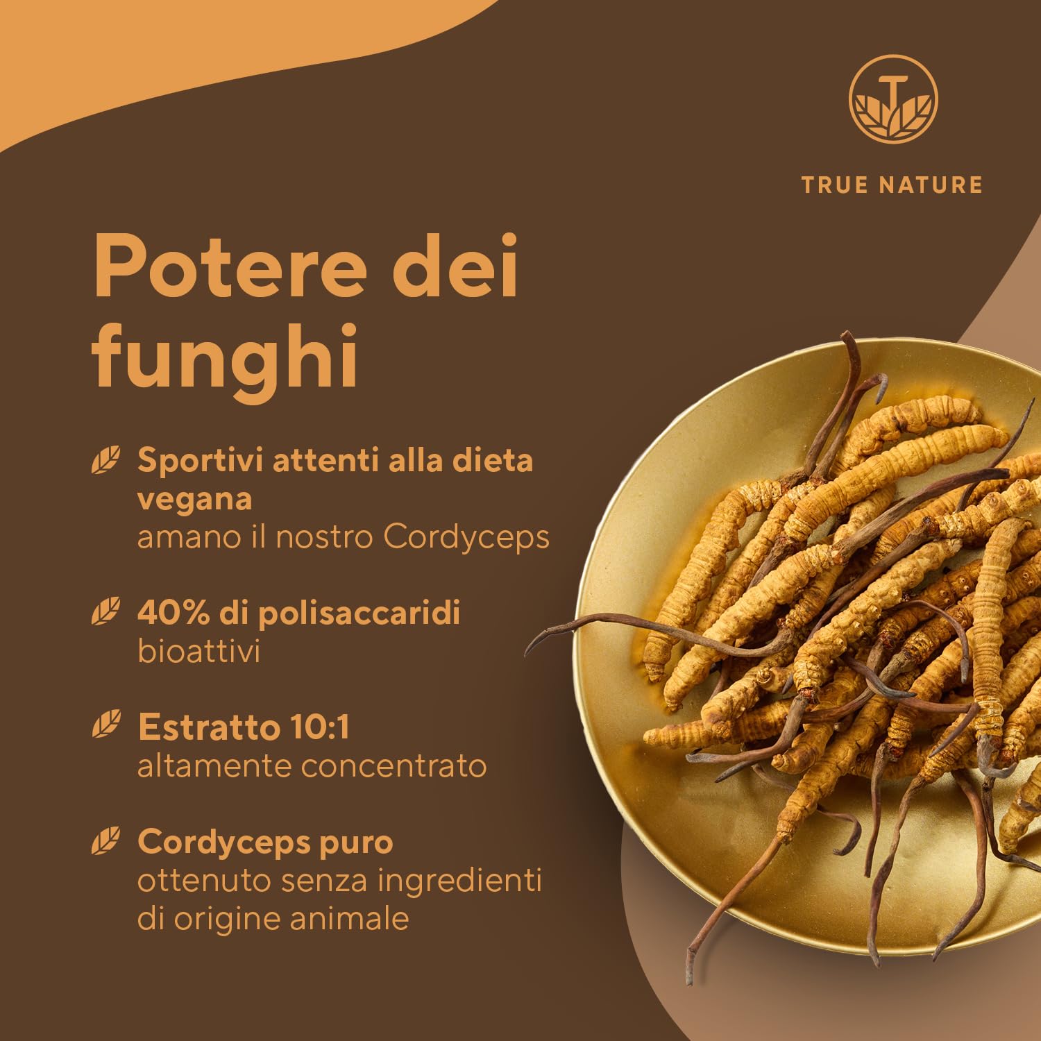Cordyceps Sinensis - 19500 mg - 270 Capsule (Estratto CS-4 10:1) Alto dosaggio - con 40% di Polisaccaridi Bioattivi - Analizzato in Italia e confezionato in Germania da TRUE NATURE