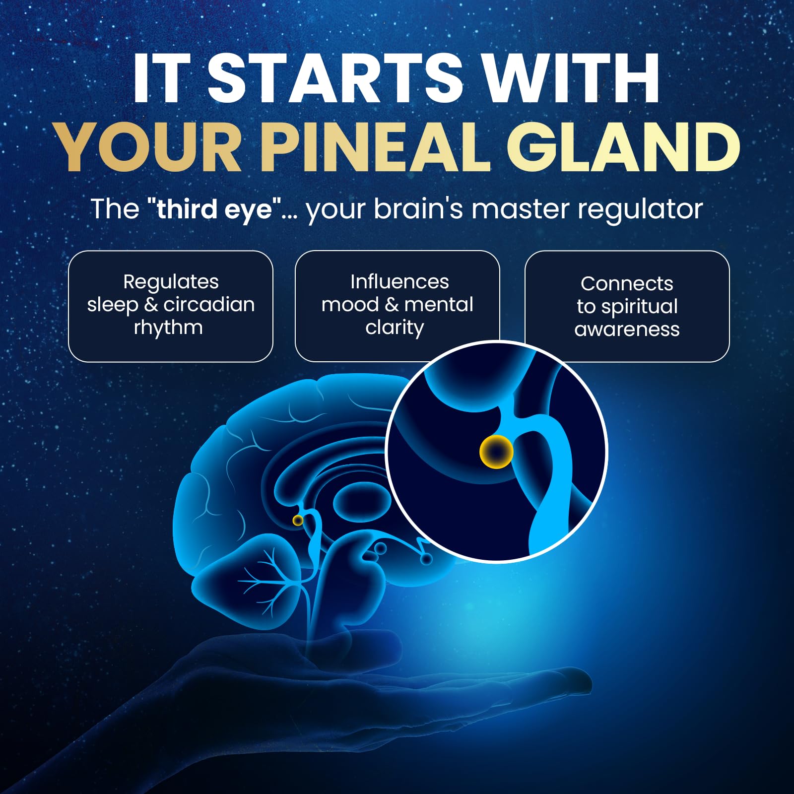 Pineal XT Gold Pineal Gland Supplement, Third Eye Awakening — Amazon image 3