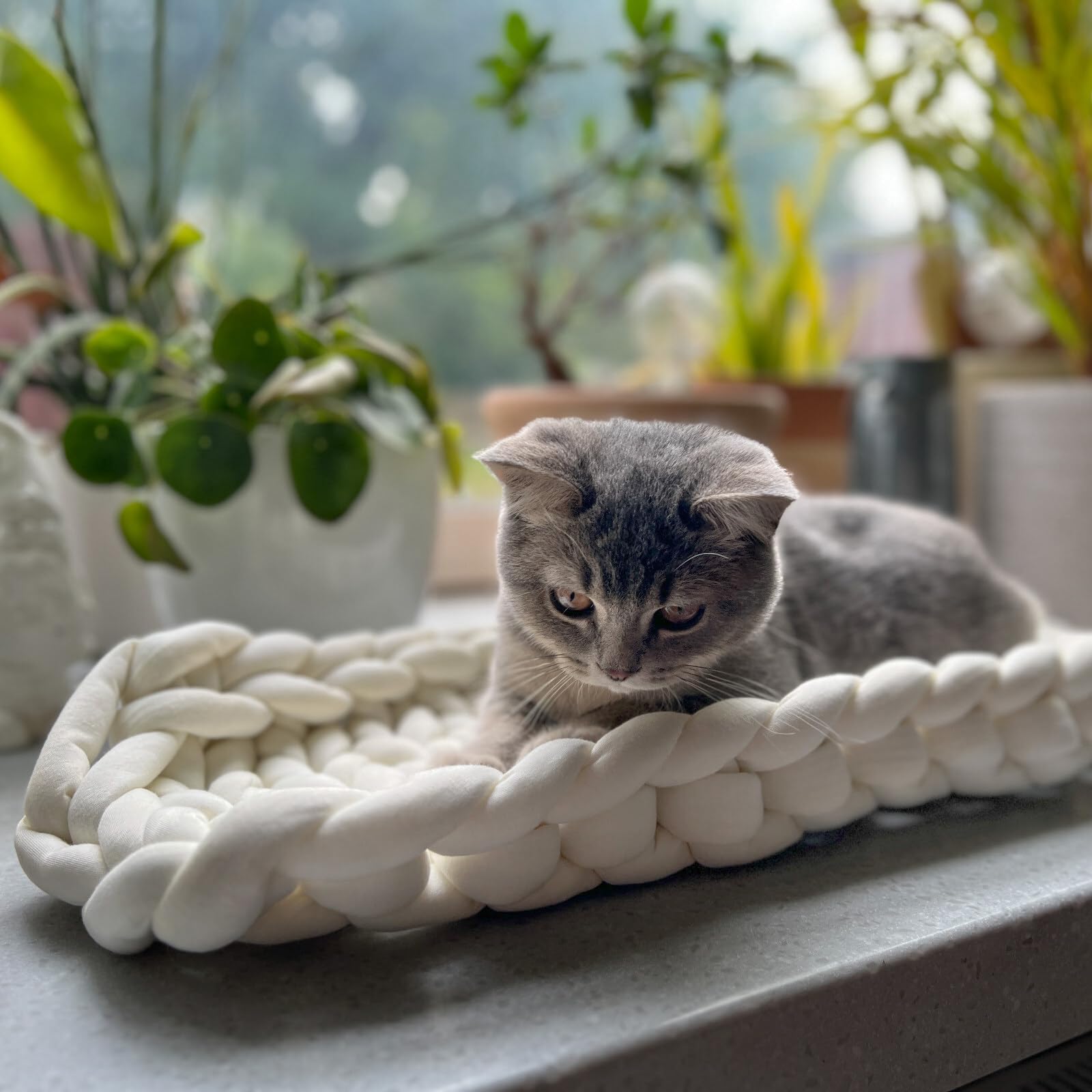 Aumüller Fensterbankliege für Katzen - Katzenbett aus Grobstrick - Beige