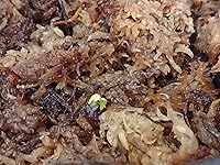 Review Image by Nathan Vasquez Nathan Vasquez