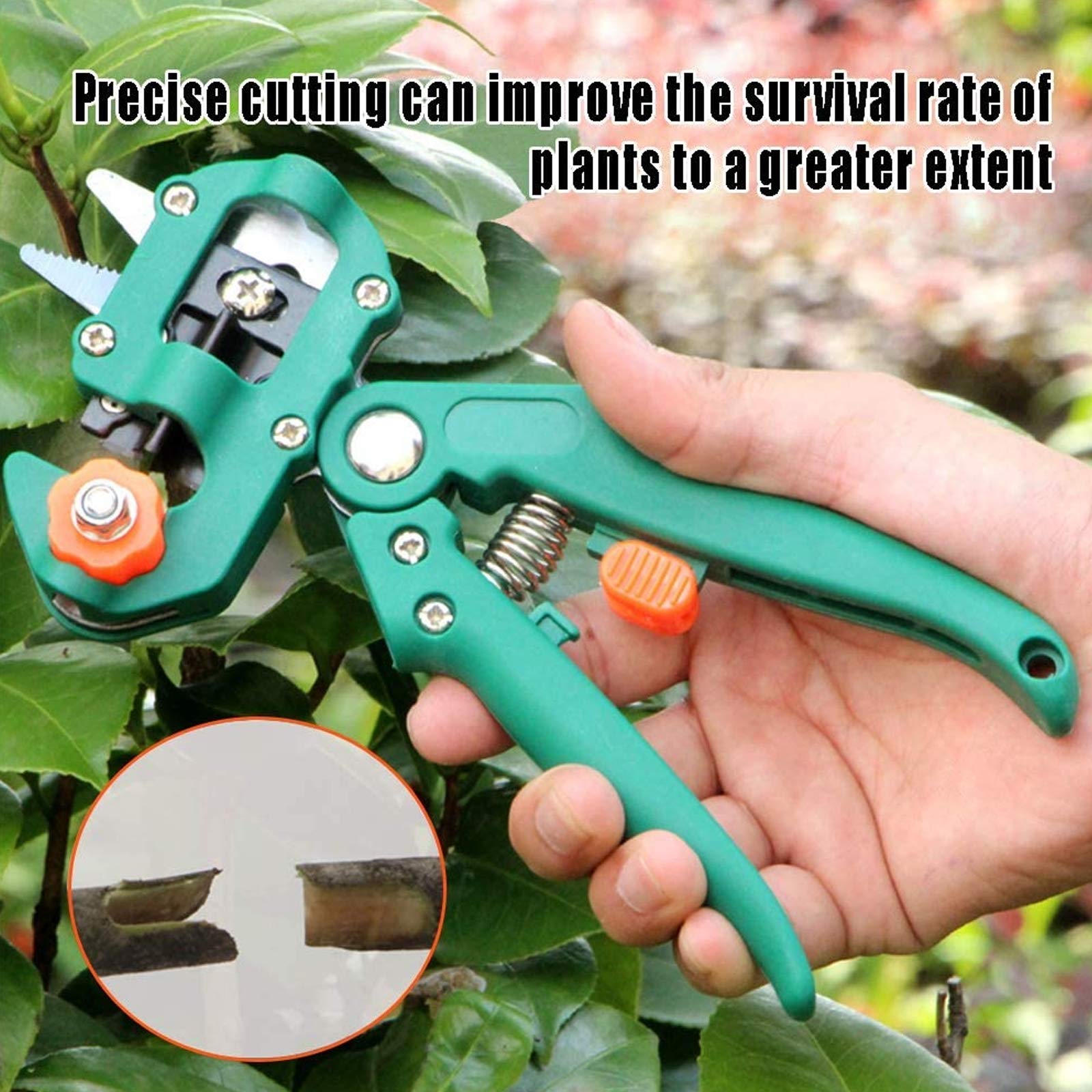 Kit di Utensili per innesto, Perfetto per Il Taglio e l'innesto di Alberi da frutto. Nastro per innesto e Lame di Ricambio in Omaggio. Kit Professionale per la