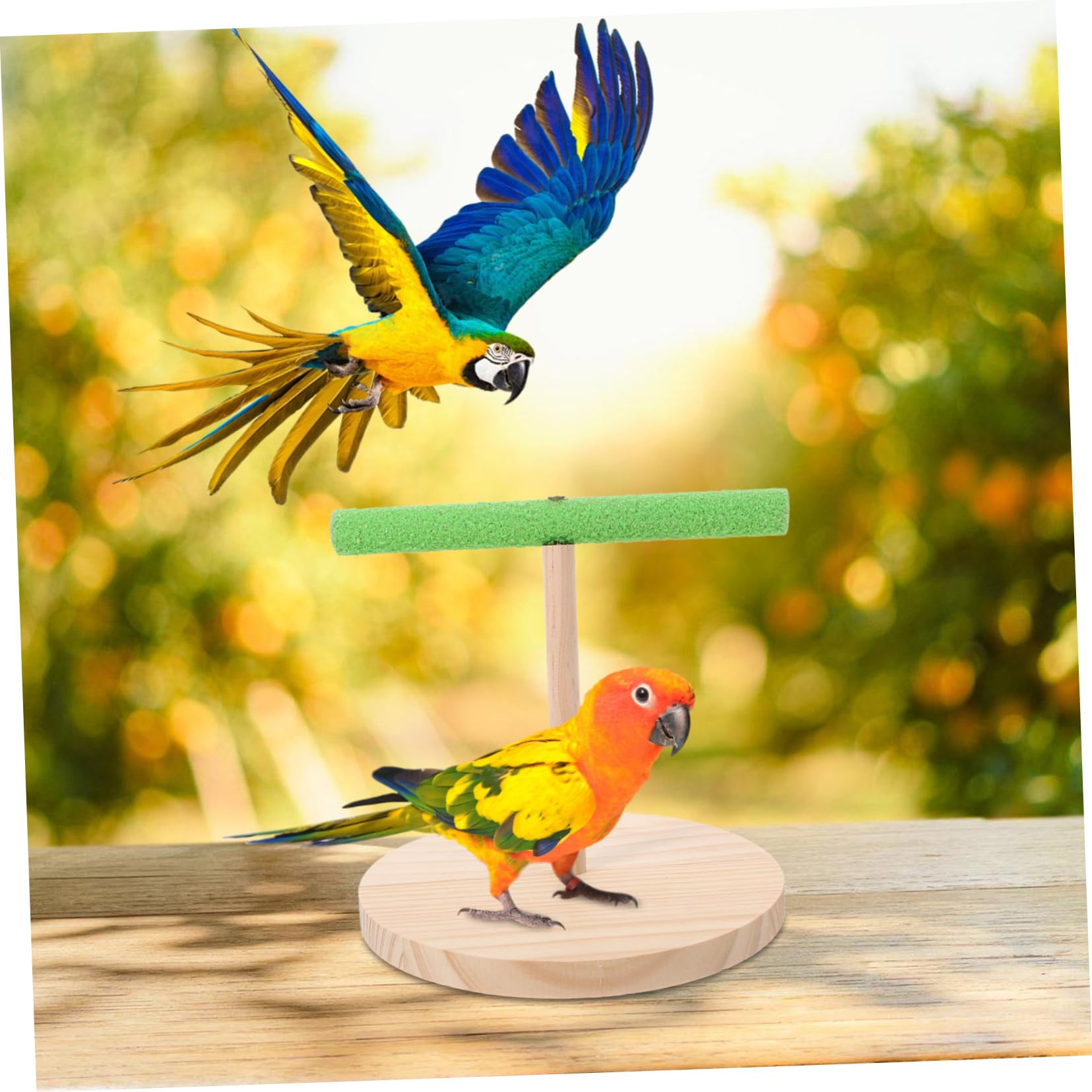 GALPADA Natural Bird Perch Stand for Parrots Sturdy Parakeet Play Stand Training Platform for Birds Create Joyful Atmosphere Your Home