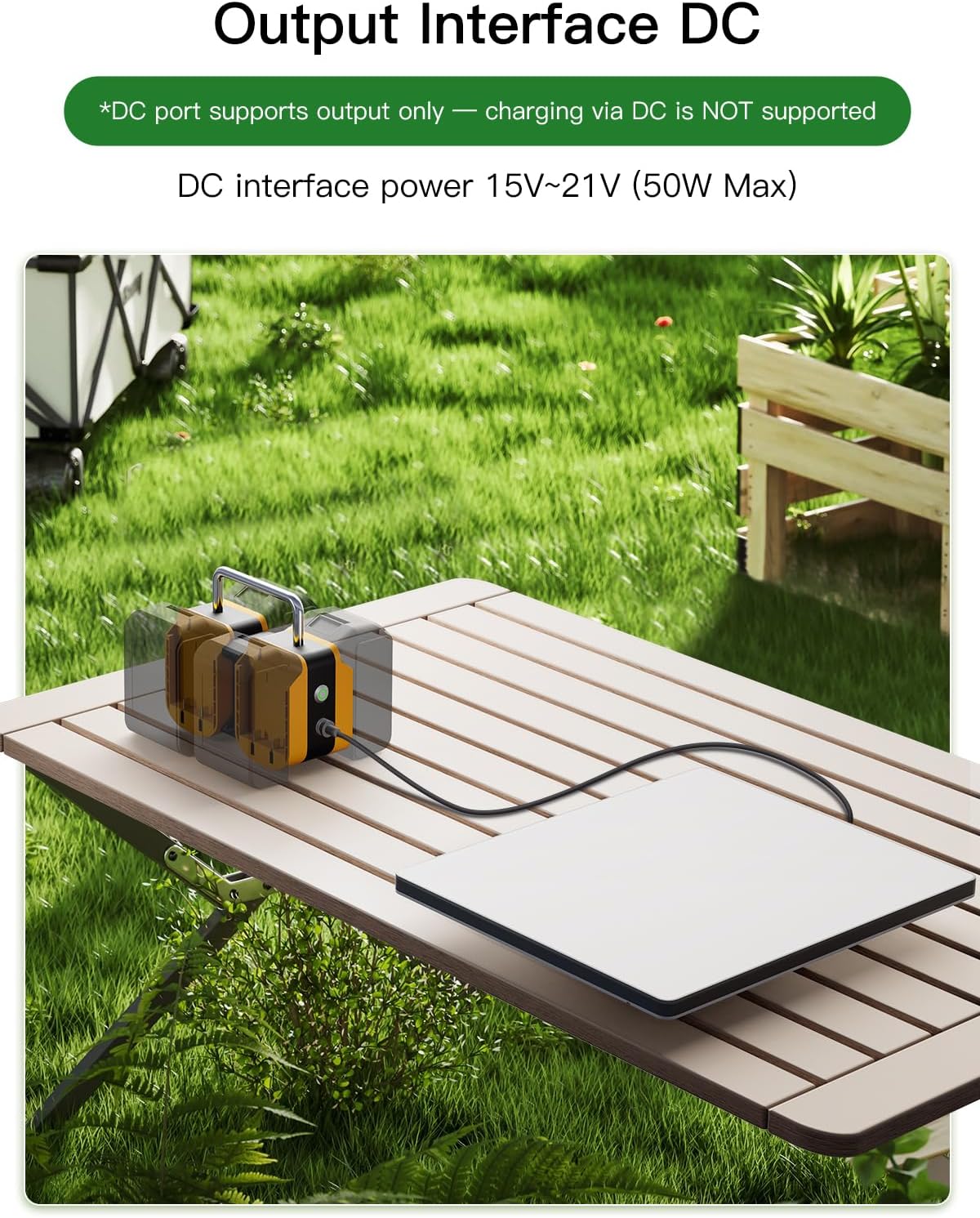 PeakDo Power Dock for Starlink Mini, Portable Starlink Mini Battery Adapter Compatible with DeWALT 20V