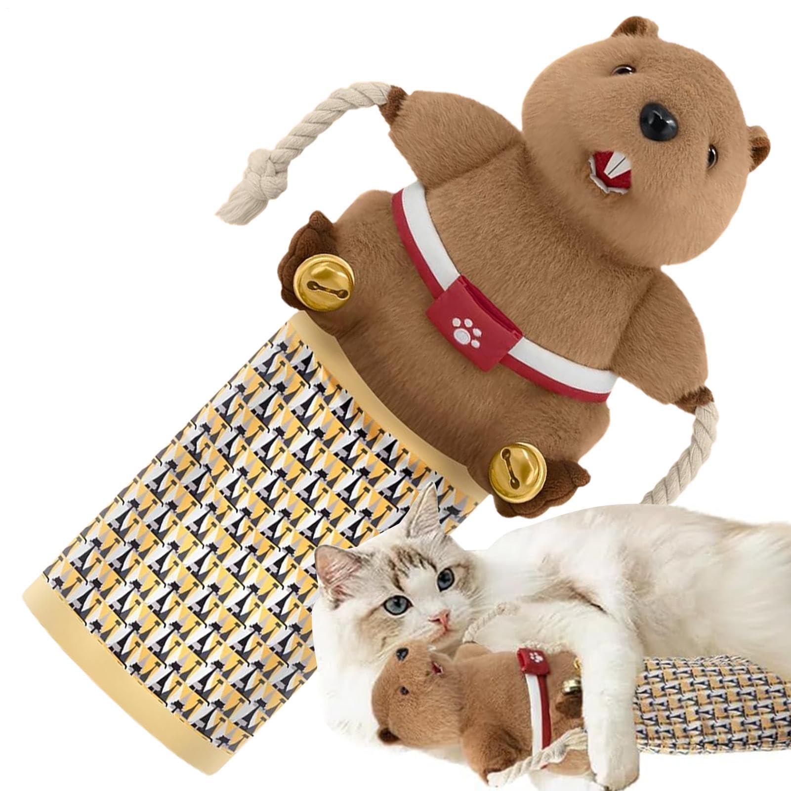 Jeu de lutte pour chat : marionnettes avec clochette pour s'amuser dans la chambre
