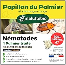 Nematodes against the Palm Moth and Red Weevil - Nematodes palm - To treat 1 palm tree - 10M