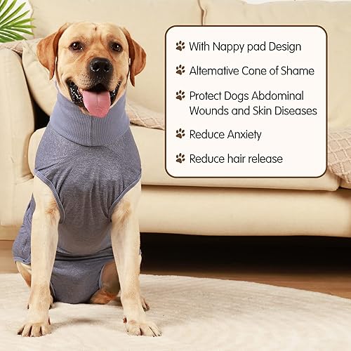Miniatura 2 de HEYWEAN Pañal para perros de cuerpo completo con pañales para cachorros, traje de recuperación fisiológica para perros machos y hembras