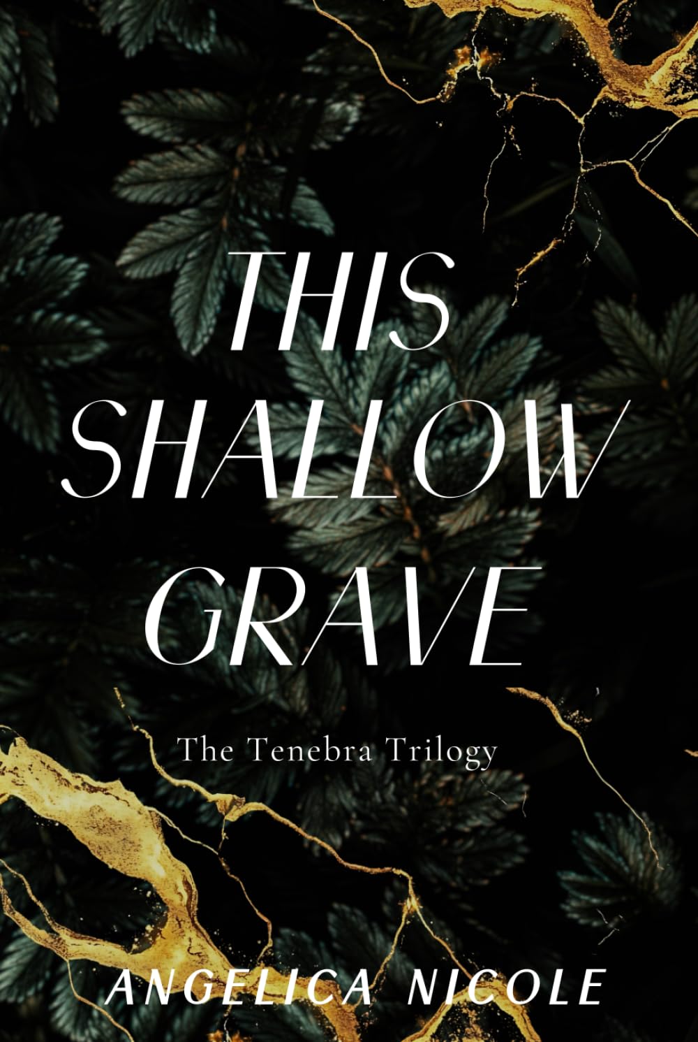 This Shallow Grave (The Tenebra Trilogy)