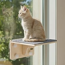pecute Cat Hammock Window Bird Watching Kitten Hammock Wall Scratching Post 30 x 27 x 16 cm, Comfortable Bed for Kitten with 4 Suction Cups, Easy to Assemble, Up to 10 kg