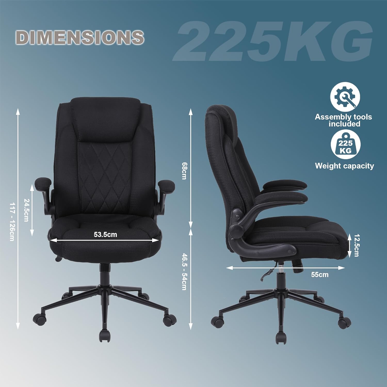 Diagram showing the dimensions of the Flysky Executive Chair in centimeters and inches, along with a 225 KG weight capacity icon.