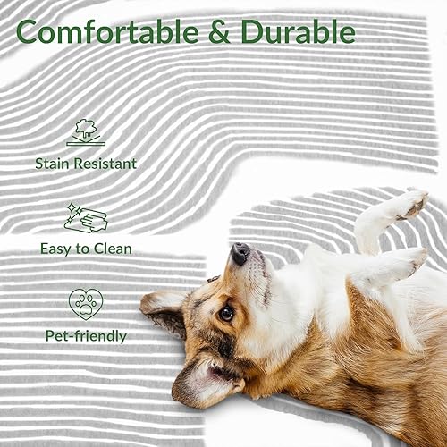 Miniatura 6 de Zen Garden - Alfombra ultrasuave de 4 x 6 pies, antideslizante, resistente a las manchas, alfombra de área lavable para sala de estar, alfombra para