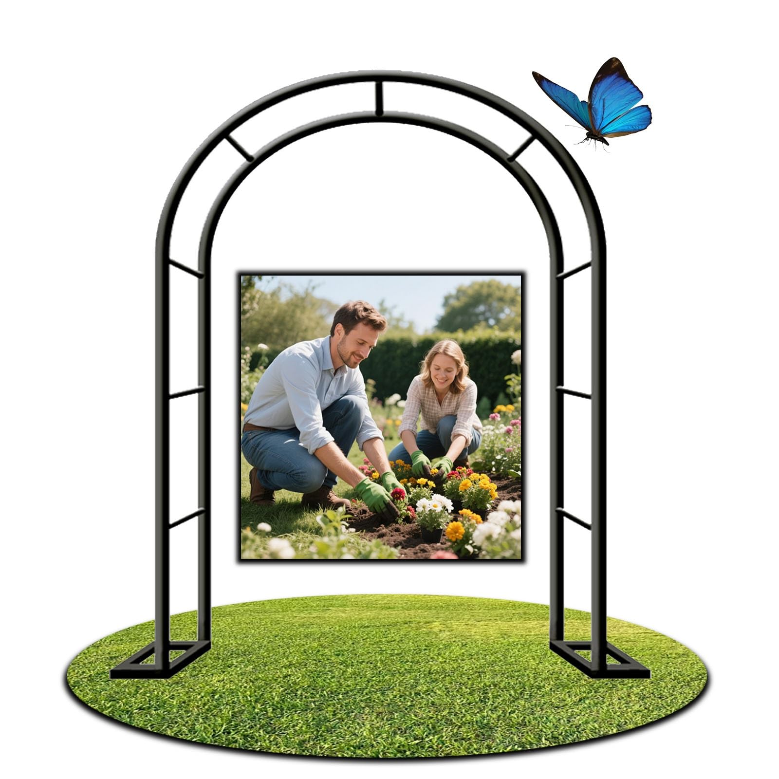 Arco da Giardino in Metallo Robusto Arco per Rampicanti, 80 120 140 180 200 240 280 300 350cm, per Patii Finestre Giardini Portici(Nero,W300 X 220cm)