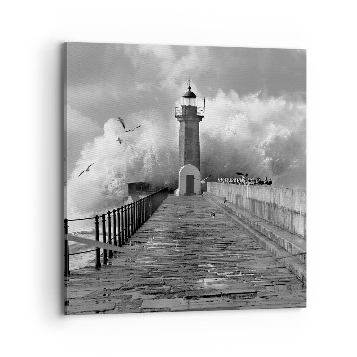 Stampe da Parete 70x70 cm Quadro su Tela Bianco e Nero Paesaggi - 4913