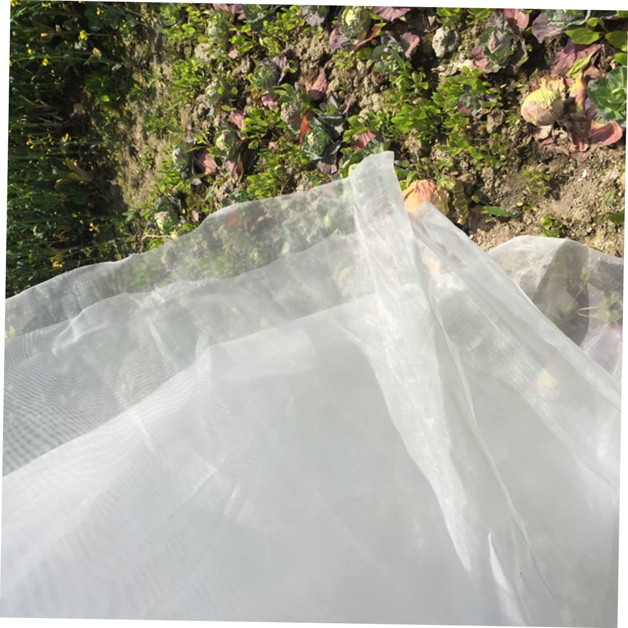 Rete da Giardino in Nailon 40 Mesh, Protezione Antigelo per Orto e Serra, Traspirante, Luce Filtrata