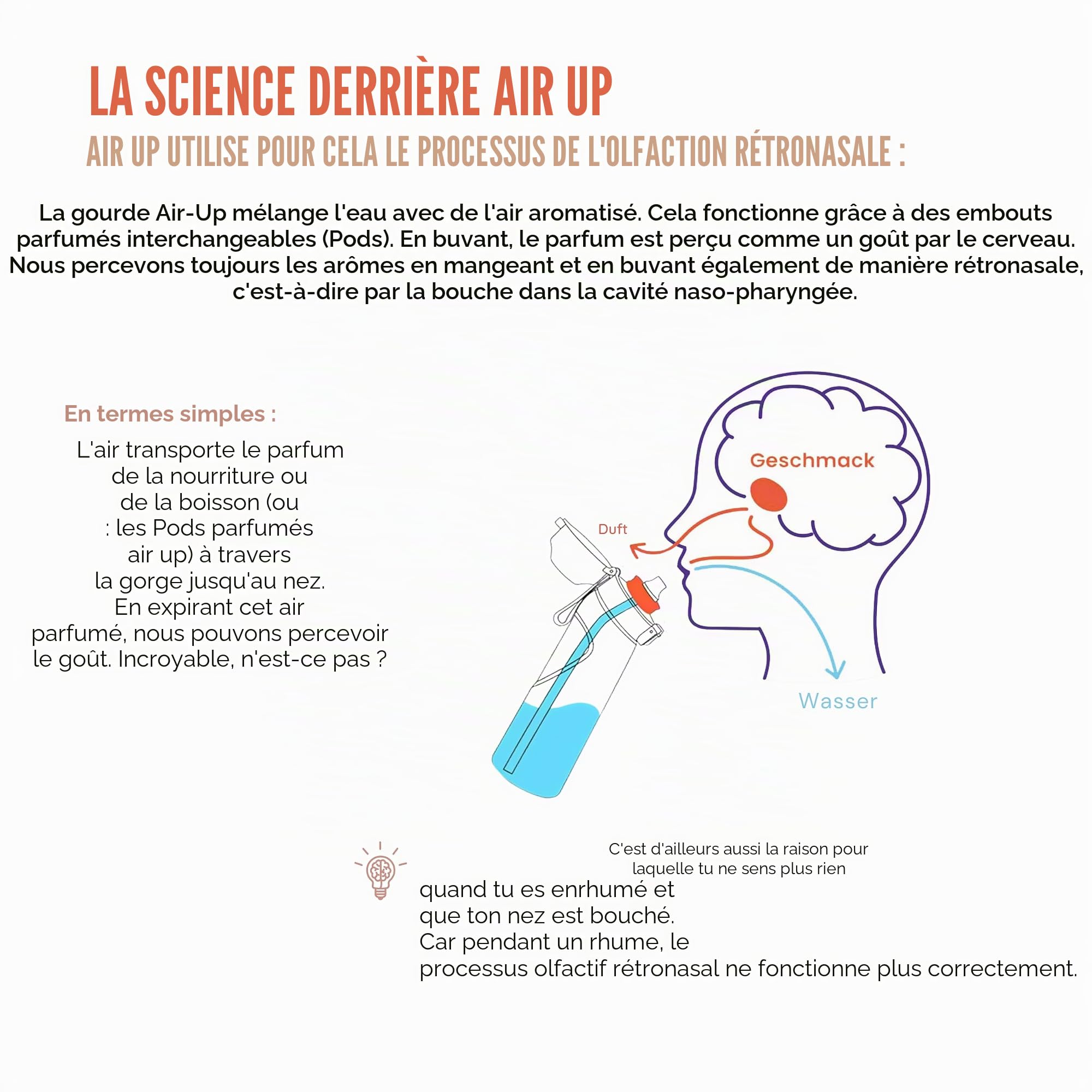 Pods aromatisants originaux pour bouteille Air Up au goût rafraîchissant de pomme - 0 sucre, 0 calorie uniquement arôme naturel - 3 pods Air Up pour 15L d’eau avec goût par le parfum