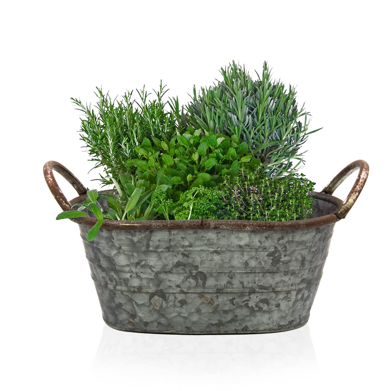 Blümelhuber Galvanised Tub, Bowl for Planting Garden Decoration, Outdoor, Water Tub, Mini Pond, Balcony Decoration (30 cm) - Image 3