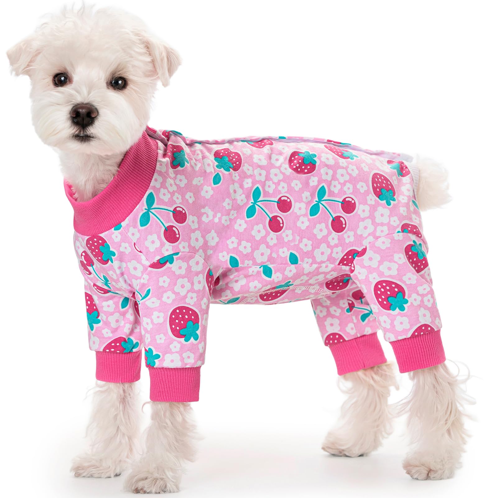 Dog Surgery Recovery Suit, Four-Leg Long Sleeve Dog Onesie
