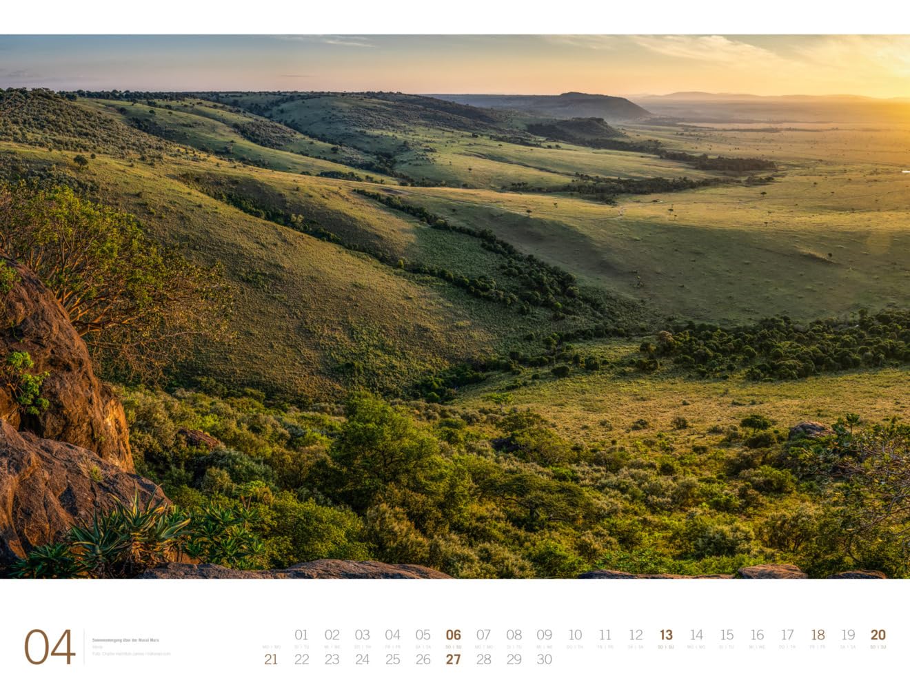 Afrika - Ackermann Gallery Kalender 2025, Wandkalender im Querformat (66x50 cm) - Großformat-Kalender / Hochwertiger Panorama-Kalender Tiere und Natur