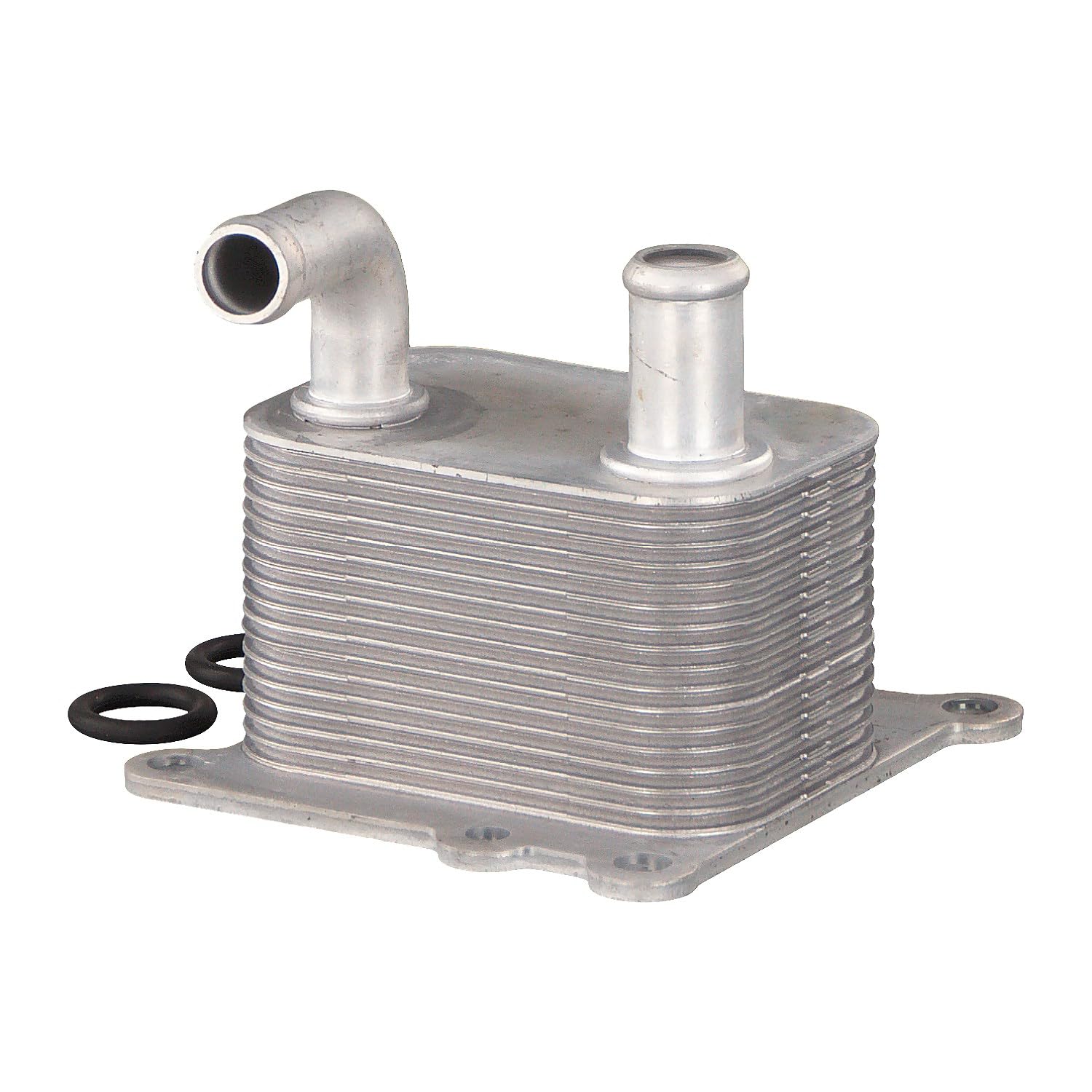 Febi bilstein 170177 - Enfriador de aceite, 1 unidad