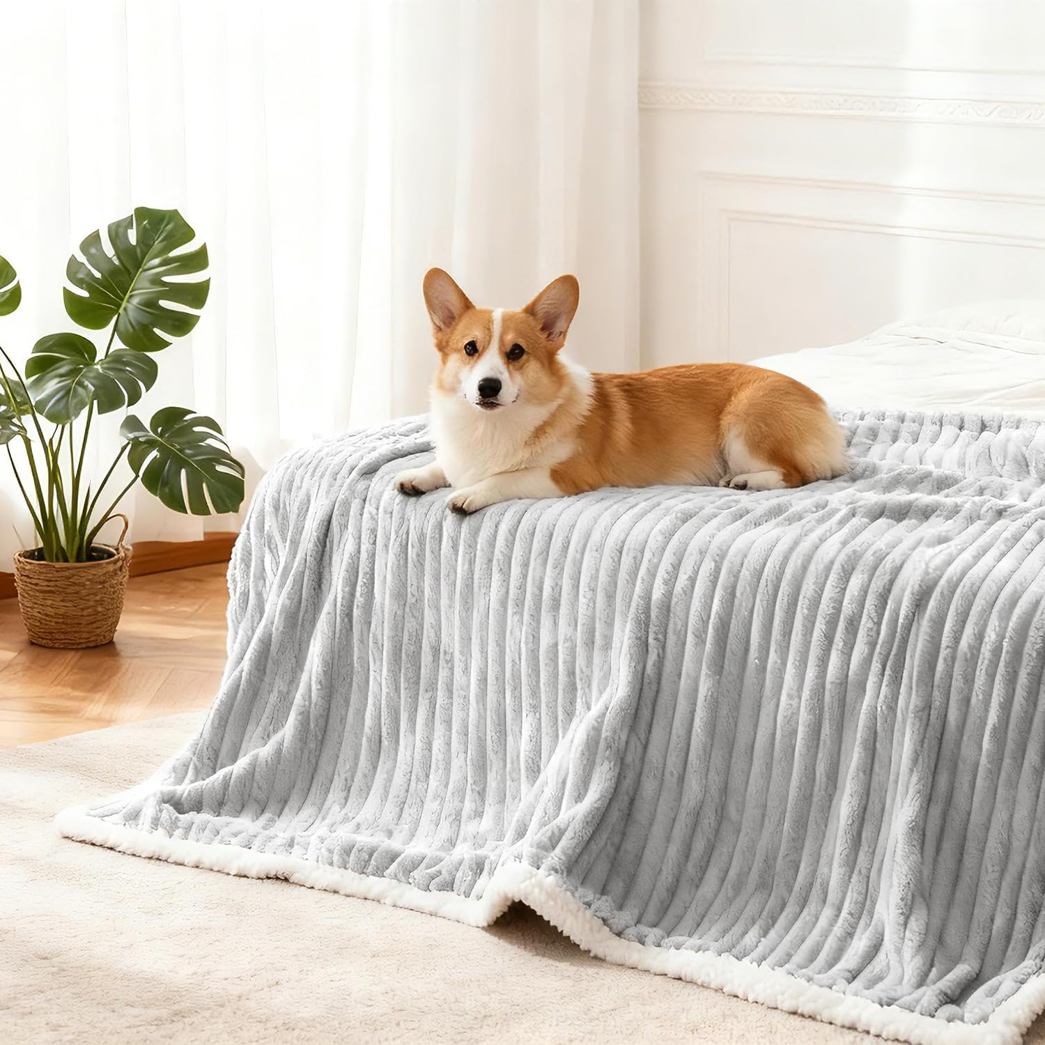 Waterproof Pet Blanket Soft Calming Dog Blanket Cozy Calming Sherpa Fleece Blanket Reversible Furniture Protector Cover for Small Medium Large Dogs Cats Machine Washable, Grey 40x50 in - Image 2