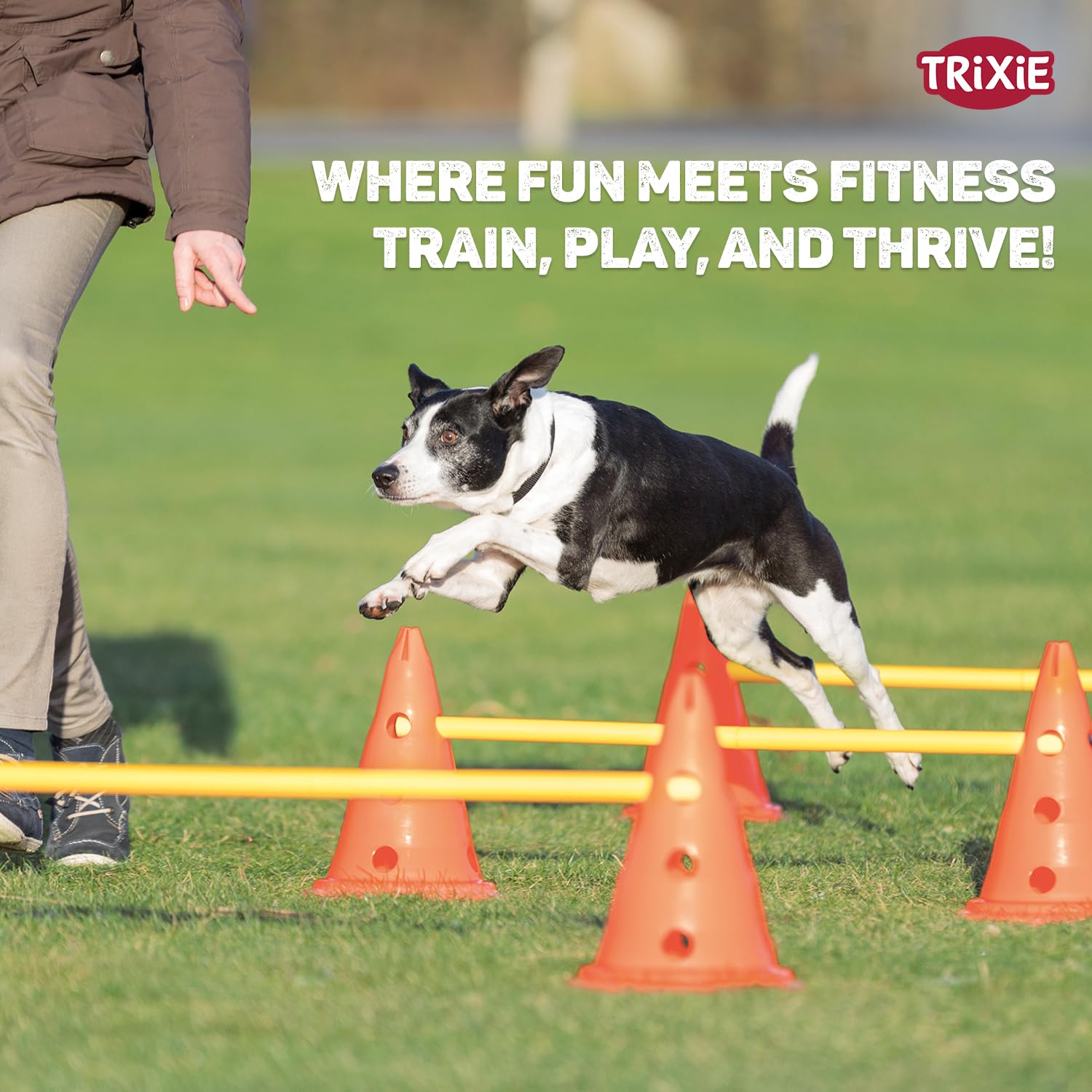 Trixie: - Dog Agility Hurdle Cone Set, Portable Canine Agility Training Set | Increase Your Dog's Concentration, Fitness and Coordination | Also Suitable for Therapeutic Treatment - 23 x 30 cm,78 cm 4