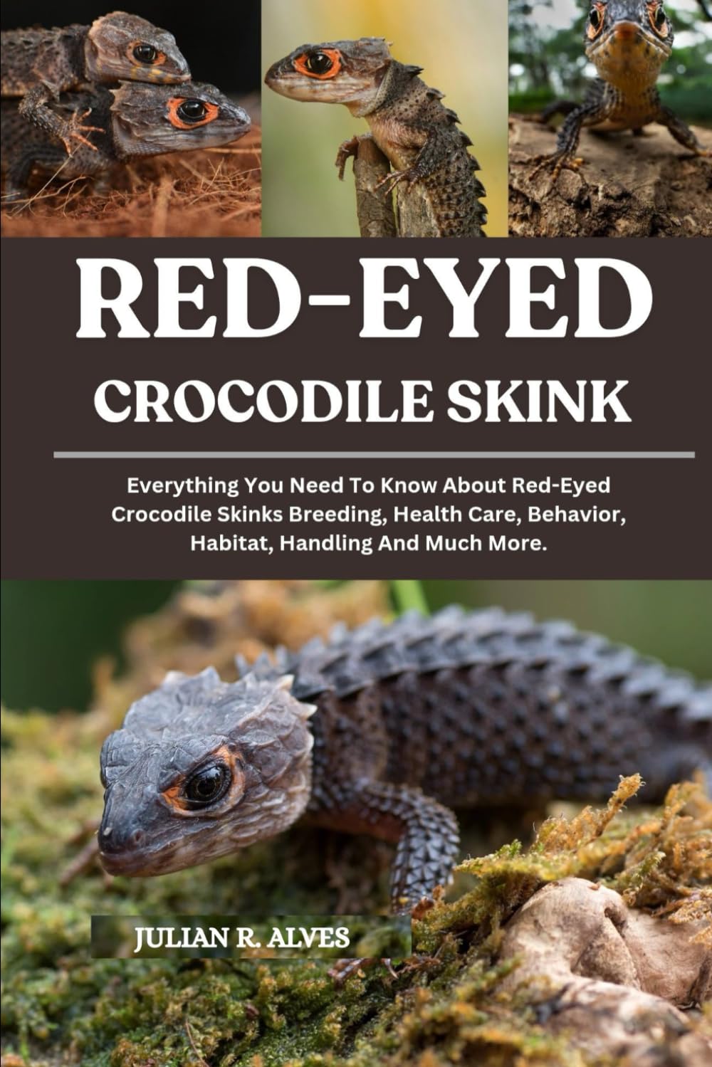 RED-EYED CROCODILE SKINK: Everything You Need To Know About Red-Eyed Crocodile Skinks Breeding, Health Care, Behavior, Habitat, Handling And Much More.