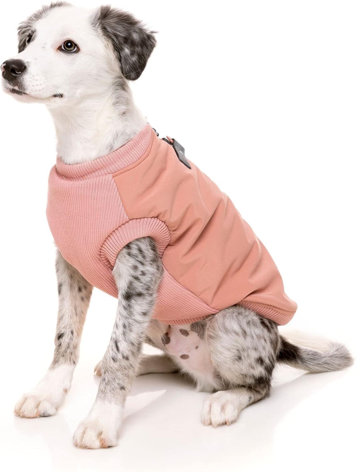 FuzzYard MacGyver Zip Up Dog Jacket with Built in Harness