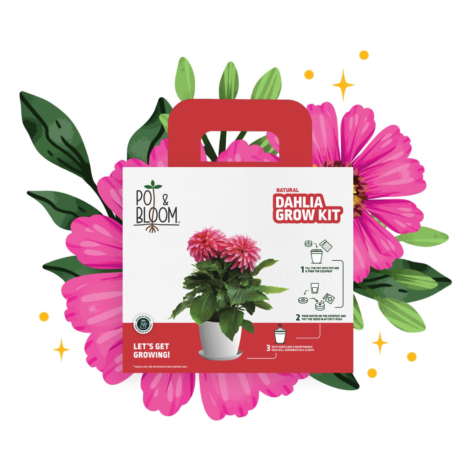 Dahila Flower Gardening Kit| Home Gardening| Includes- Dahila Seeds, Pot, Poting Mix(Soil & Fertilizer Mix), Plant Growth and Protection Spray, Cocopeat, Nutrition Powder| Return Gift|