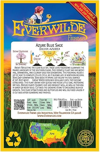Miniatura 2 de Everwilde Farms - 50 semillas de flores silvestres nativas de salvia azul - Paquete de semillas Gold Vault