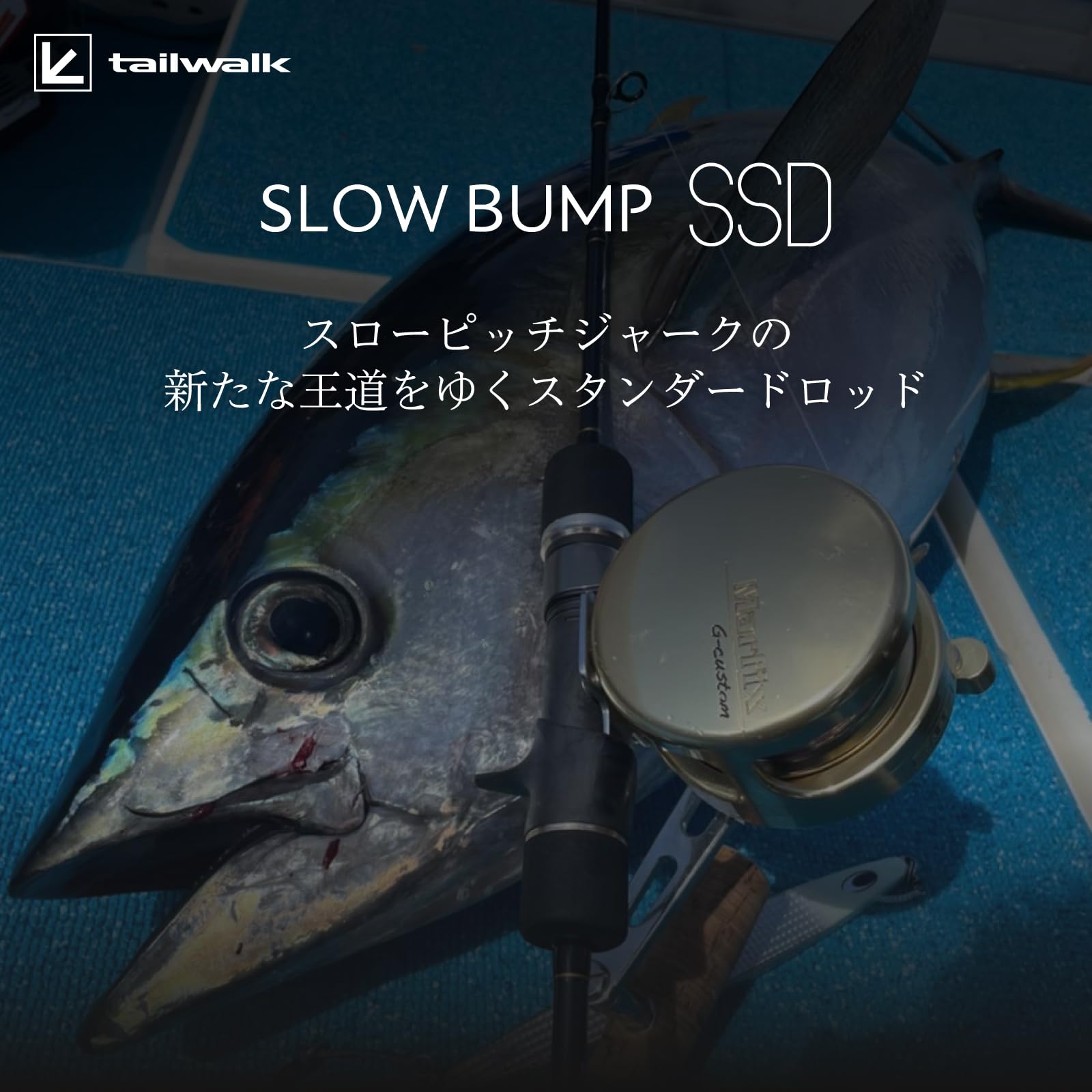 Amazon | テイルウォーク (Tailwalk) スロージギングロッド SLOW BUMP